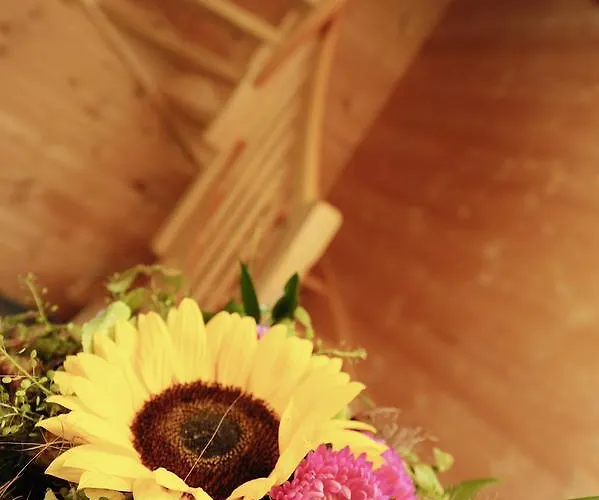 Apartment Daerfli Sankt Gallenkirch